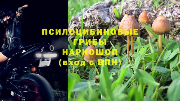 крисы Дубна