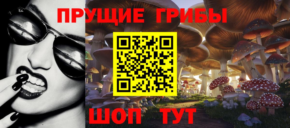 Псилоцибиновые грибы GOLDEN TEACHER  Вход с VPN  Псилоцибиновые грибы прущие грибы  Можайск 