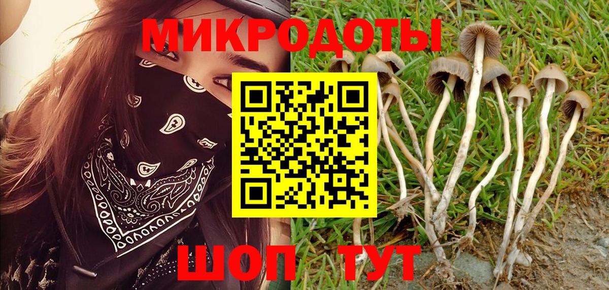 Галлюциногенные грибы прущие грибы Можайск
